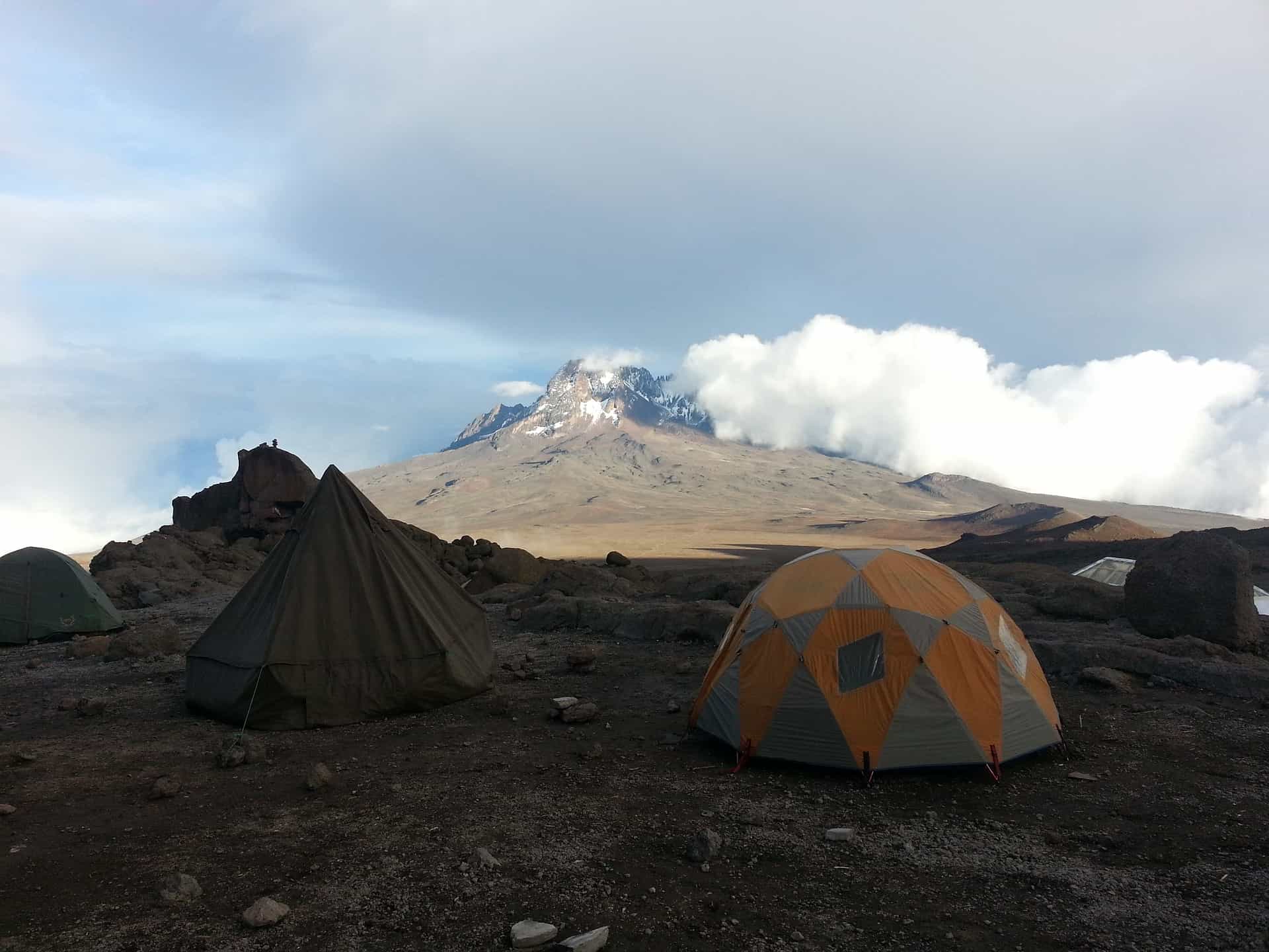 kilimanjaro